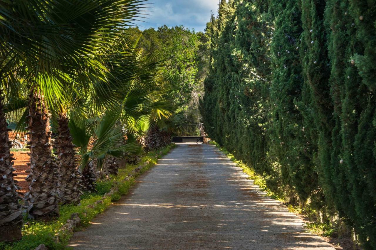 Puig D'en Valls Villa Can Fita מראה חיצוני תמונה