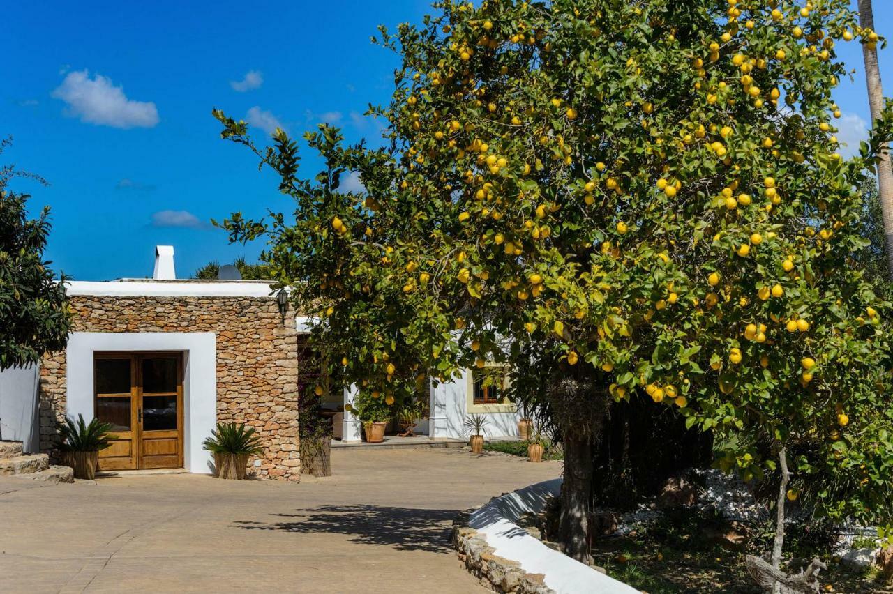 Puig D'en Valls Villa Can Fita מראה חיצוני תמונה